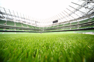 green-cut grass in large stadium at summer day, large soccer fie