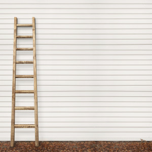 wooden plank wall and the ladder, ground covered with fallen leaves