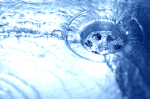 Water running down the drain - shallow DOF