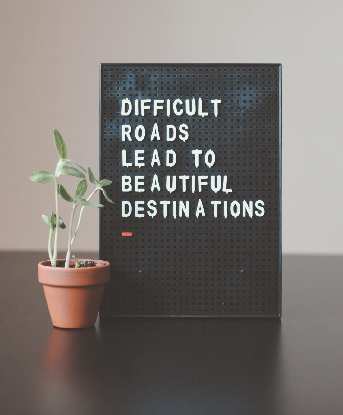 Feltboard sign next to a single plant that reads Difficult Roads lead to beautiful destinations