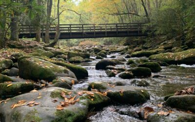 The A.R.C. Toward Living and Performing More Freely